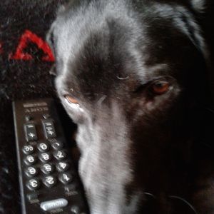 Meet your Posher, Kaiser